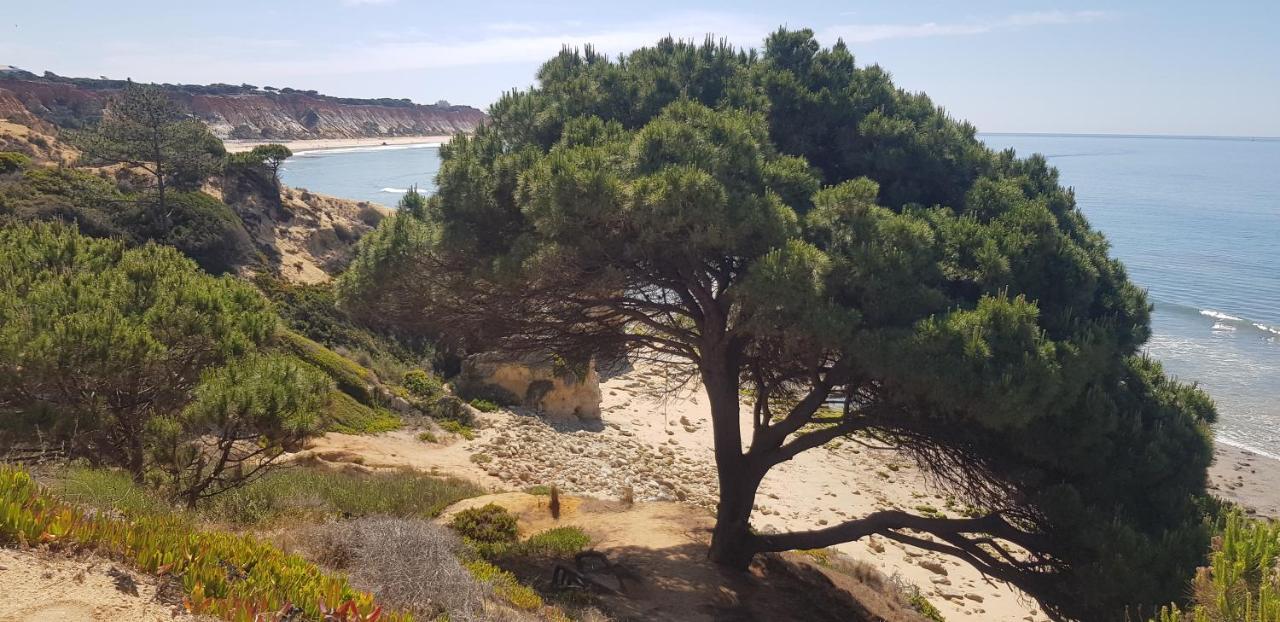 Casa Da Praia Αλμπουφέιρα Εξωτερικό φωτογραφία