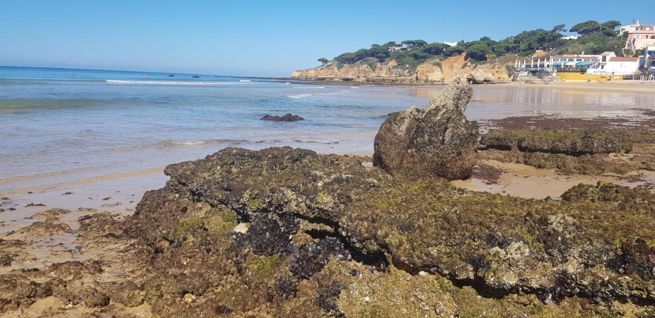 Casa Da Praia Αλμπουφέιρα Εξωτερικό φωτογραφία